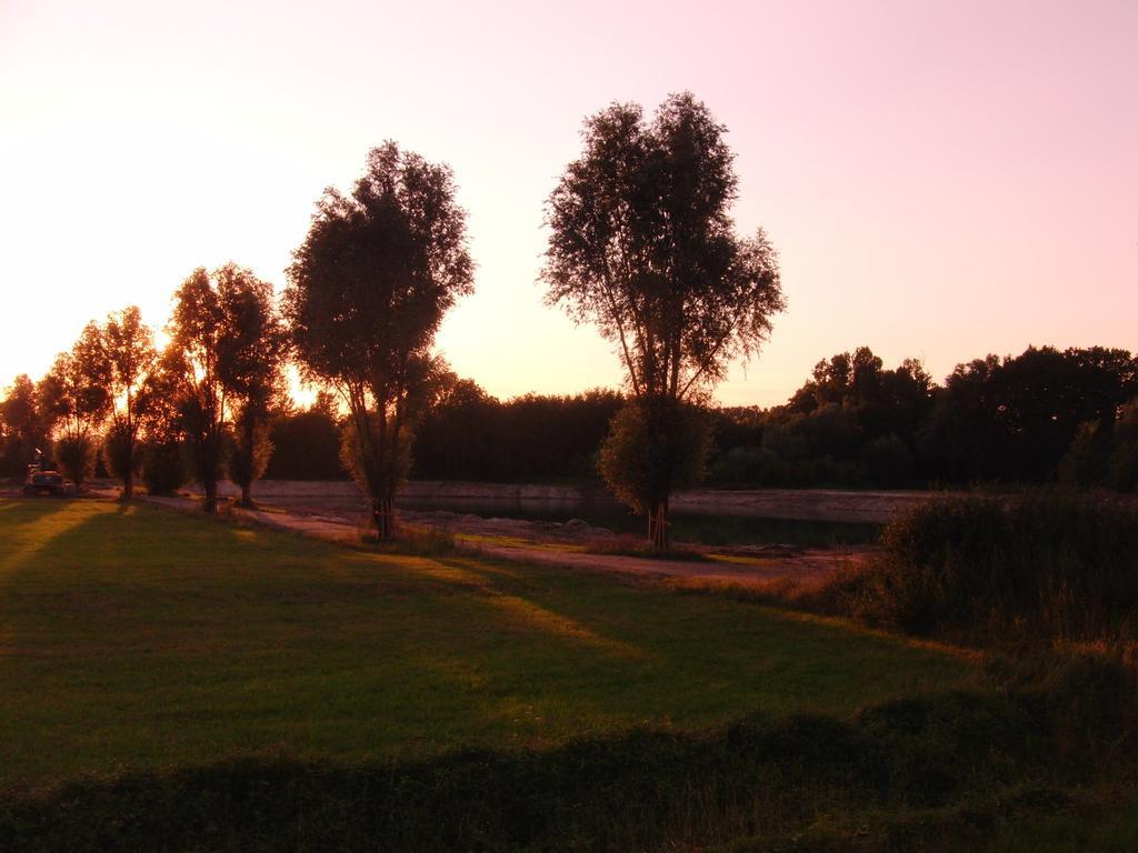 Tepe'S Gasthof Schwarmstedt Exteriér fotografie